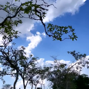 fernandamotafarhat #5884943