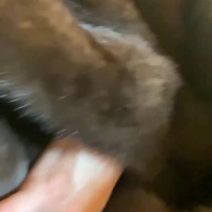 Video by venusprincesse published on August 23,2023 15:50:58 - BestThots