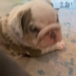 Video by harryjowsey published on July 20,2023 20:35:00 - BestThots