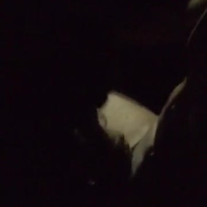 Video by anoncouplestuff published on April 20,2023 06:47:00 - BestThots