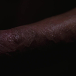 jaysnakesxxx #4544879
