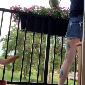 shaepeach #3894750