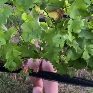 Video by skyhighsierra published on August 18,2023 11:48:00 - BestThots