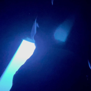 Video by skyhighsierra published on July 3,2023 09:28:00 - BestThots