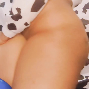 cocoa-moo #3537652