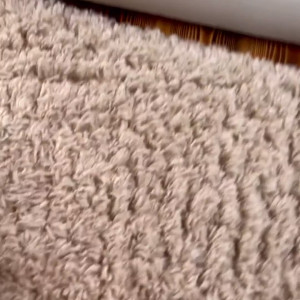 Video by iammery published on August 23,2023 18:36:11 - BestThots