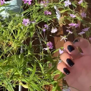 Video by iammery published on May 26,2023 16:56:00 - BestThots