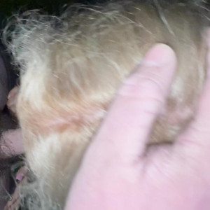 belleolivia3 #5890771