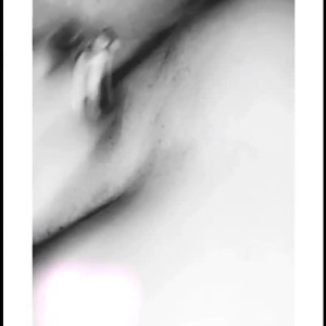 bambi_bashful #4798397