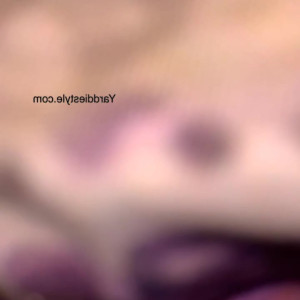 Video by yarddiestyle1 published on April 5,2023 15:41:00 - BestThots