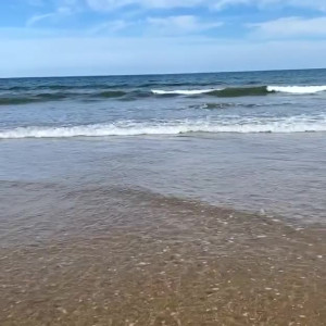 Video by kirabee published on August 14,2023 11:03:00 - BestThots