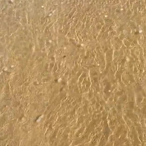 Video by kirabee published on June 16,2023 09:41:00 - BestThots