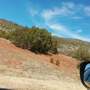 Video by morgpie published on April 13,2023 00:28:00 - BestThots