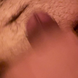 grizzlychulo #4870645