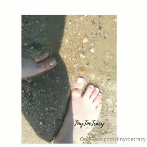 tinytoetracy #3538404