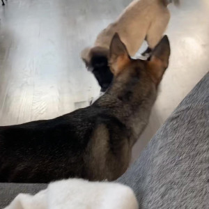 Video by sabrinanichole published on March 19,2023 04:47:00 - BestThots