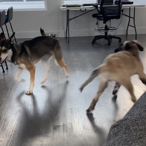 Video by sabrinanichole published on May 2,2023 19:03:00 - BestThots