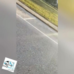 Video by fanbus published on March 29,2023 06:28:00 - BestThots