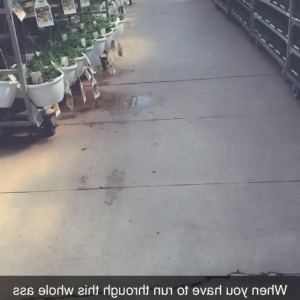 Video by novahharper published on May 21,2023 19:21:00 - BestThots