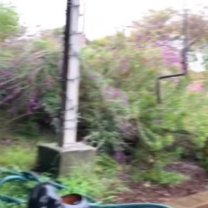 Video by novahharper published on April 28,2023 10:14:00 - BestThots