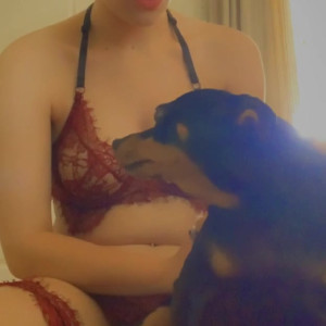 novahharper #4468721