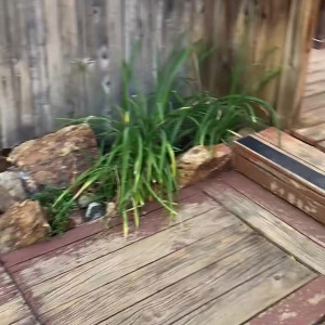 Video by tanfeets published on April 10,2023 06:44:00 - BestThots