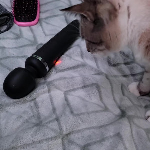Video by daddyslittlegirl01 published on August 23,2023 20:45:20 - BestThots