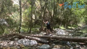 jasminegrey #9729803