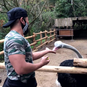 Video by sasuke_daru published on March 13,2023 03:25:00 - BestThots