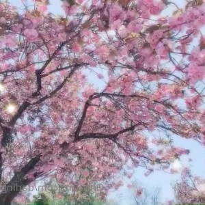 Video by darlingdream published on April 23,2023 05:36:00 - BestThots