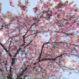 Video by darlingdream published on April 30,2023 00:18:00 - BestThots