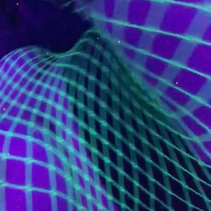 Video by laylalegendz published on April 3,2023 11:37:00 - BestThots