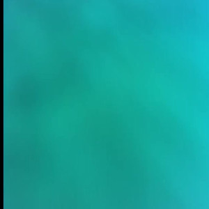 Video by u1243922 published on June 20,2023 11:04:00 - BestThots