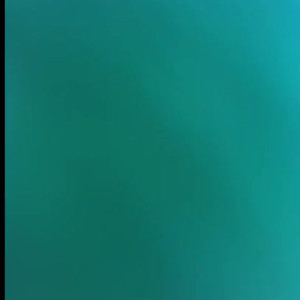 Video by u1243922 published on June 8,2023 02:53:00 - BestThots