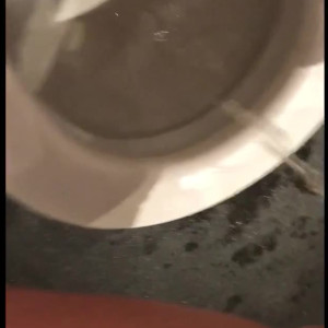 Video by u1243922 published on March 8,2023 18:06:00 - BestThots