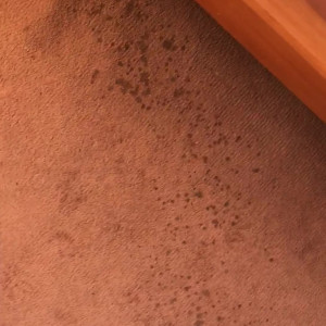 Video by kellie_obrian published on June 28,2023 19:18:00 - BestThots