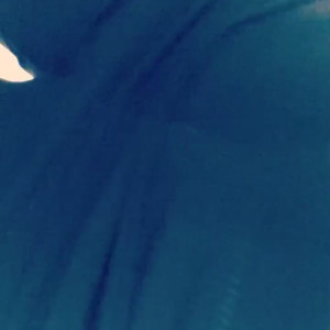 Video by kellie_obrian published on March 5,2023 02:55:00 - BestThots