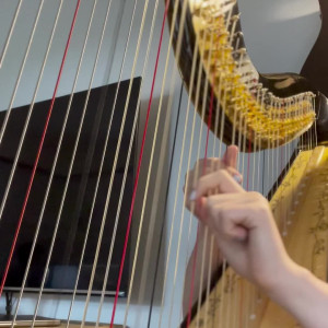 Video by latexnchill published on August 23,2023 21:16:52 - BestThots