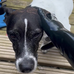 Video by latexnchill published on August 23,2023 21:17:34 - BestThots