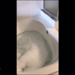 Video by zoeykatexo2 published on June 12,2023 17:18:00 - BestThots