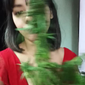 Video by blommpita published on April 2,2023 04:30:00 - BestThots