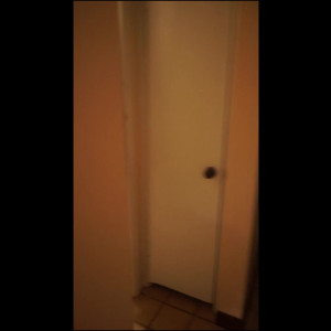 Video by xsamsinghx published on August 17,2023 10:49:00 - BestThots