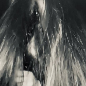 Video by ladyelectradominatrix published on June 25,2023 03:41:00 - BestThots