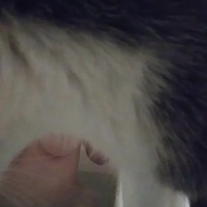 Video by emeryeverest published on June 9,2023 16:18:00 - BestThots