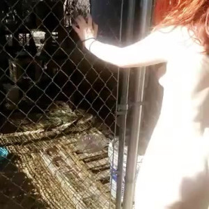 Video by emeryeverest published on April 14,2023 14:51:00 - BestThots