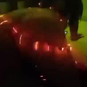 Video by conejitac9 published on January 10,2024 11:34:57 - BestThots