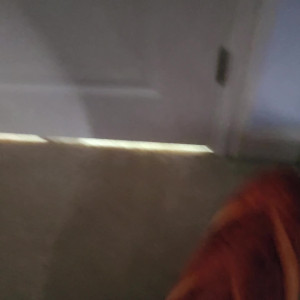 Video by vicktoriatacos published on August 23,2023 21:57:29 - BestThots