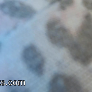 Video by vicktoriatacos published on August 23,2023 22:05:25 - BestThots