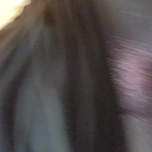 Video by vicktoriatacos published on August 23,2023 22:11:54 - BestThots