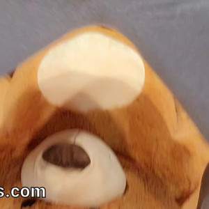 Video by vicktoriatacos published on August 23,2023 22:08:31 - BestThots
